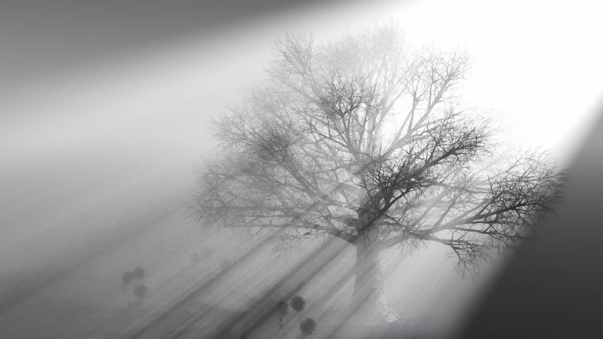 最近折腾群晖那点事