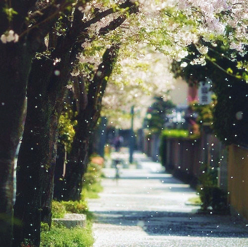 qqռ˵˵ͼƬ Ψ˵˵