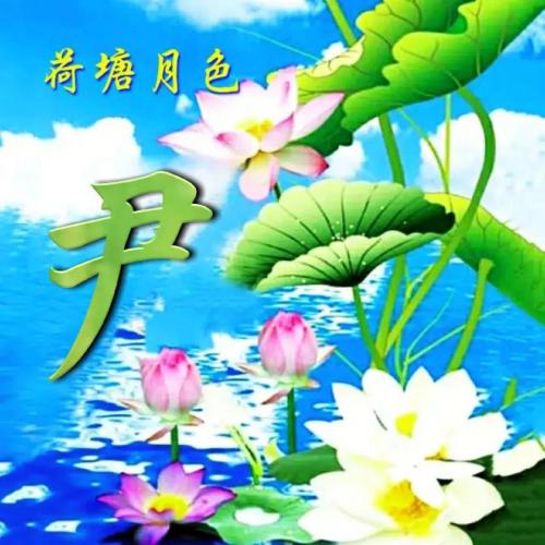 荷塘月色，荷花主题40张，适合女生的微信头像图片