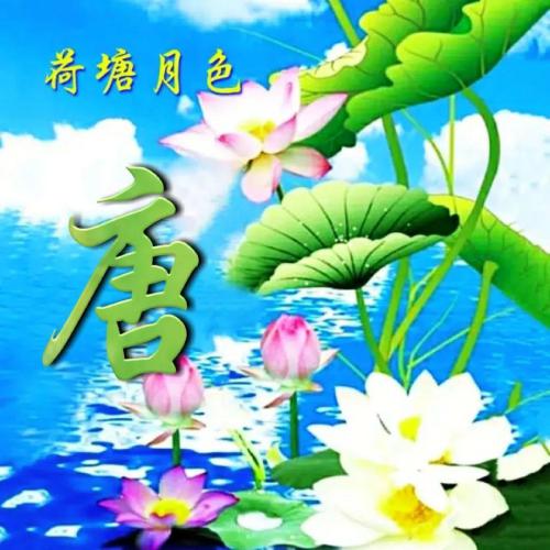 2023增强运气的微信头像，荷塘月色姓氏头像男女都可以使用的