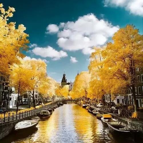 头像好看的清新自然高清风景，给人一种温暖而宁静的感觉