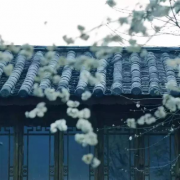 熬,是人生最深的滋味