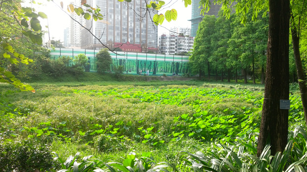 天河公园地铁建设中