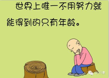 考研不努力