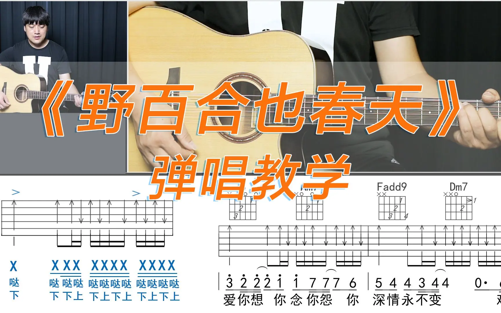 罗大佑《野百合也有春天》吉他谱_吉他弹唱教学讲解视频